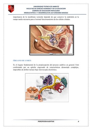 UNIVERSIDAD TECNICA DE AMBATO
               FACULTAD DE CIENCIAS HUMANAS Y DE LA EDUCACION
                     CARRERA DE EDUCACION PARVULARIA
             MODULO NTICS II Y DESARROLLO DE LAS FUNCIONES BASICAS

importancia de la membrana vesicular depende de que conserve la endolinfa en la
rampa media necesaria para el normal funcionamiento de las células ciliadas.




ÓRGANO DE CORTI

Es el órgano fundamental de la propiocepción del proceso auditivo en general. Está
conformado por un epitelio engrosado de características demasiado complejas,
imposibles de definir incluso bajo microscopía electrónica.




                              PERCEPCION AUDITIVA                                6
 
