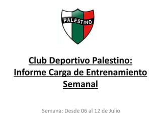 Club Deportivo Palestino:
Informe Carga de Entrenamiento
Semanal
Semana: Desde 06 al 12 de Julio
 