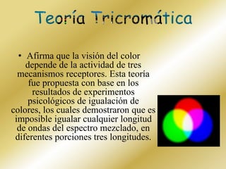 Teoría TricromáticaAfirma que la visión del color depende de la actividad de tres mecanismos receptores. Esta teoría fue propuesta con base en los resultados de experimentos psicológicos de igualación de colores, los cuales demostraron que es imposible igualar cualquier longitud de ondas del espectro mezclado, en diferentes porciones tres longitudes.