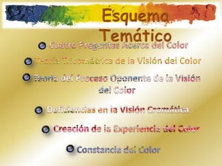 Esquema Temático Cuatro Preguntas Acerca del ColorTeoría Tricomátrica de la Visión del ColorTeoría del Proceso Oponente de la Visión del Color Deficiencias en la Visión CromáticaCreación de la Experiencia del ColorConstancia del Color