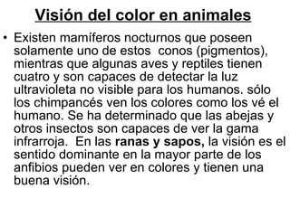 Visión del color en animales   Existen mamíferos nocturnos que poseen solamente uno de estos  conos (pigmentos), mientras que algunas aves y reptiles tienen cuatro y son capaces de detectar la luz ultravioleta no visible para los humanos. sólo los chimpancés ven los colores como los vé el humano. Se ha determinado que las abejas y otros insectos son capaces de ver la gama infrarroja.  En las  ranas y sapos,  la visión es el sentido dominante en la mayor parte de los anfibios pueden ver en colores y tienen una buena visión. 