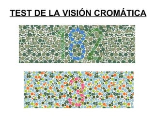 TEST DE LA VISIÓN CROMÁTICA 