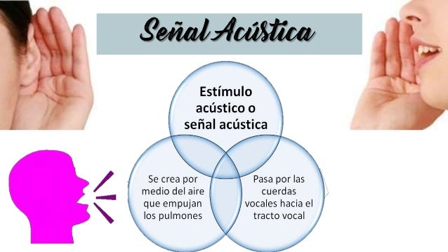 percepcion del habla