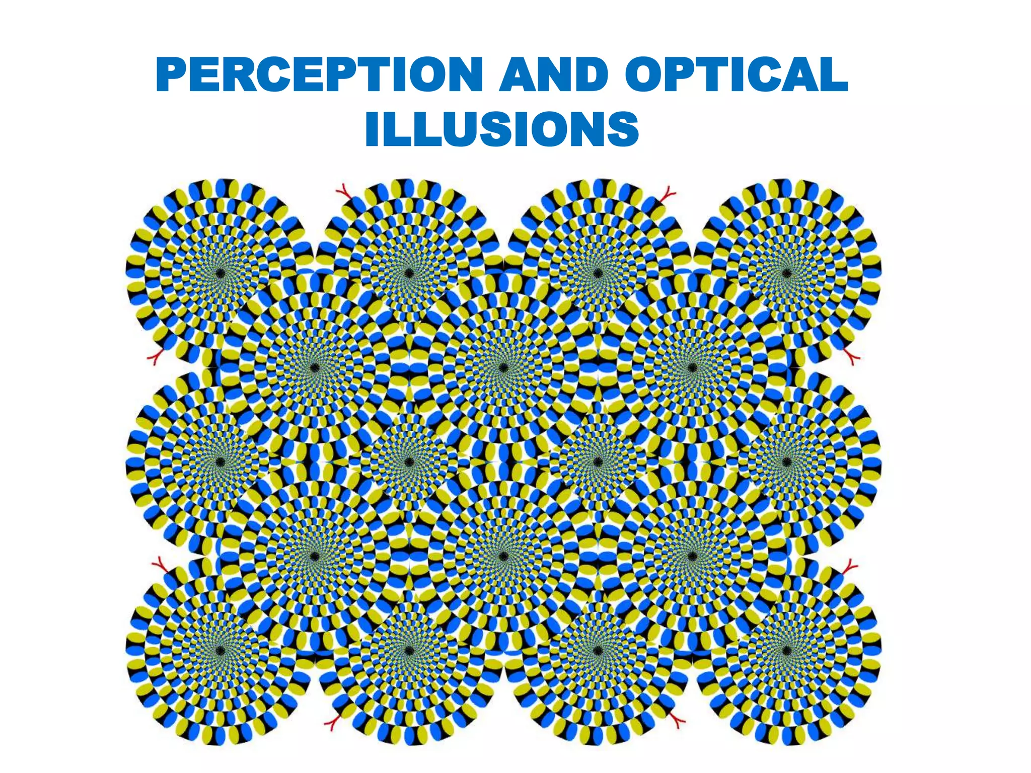 Perception and optical illusions | PPTX