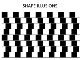 SHAPE ILLUSIONS 
 