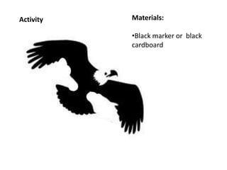 Materials: 
•Black marker or black 
cardboard 
Activity 
 