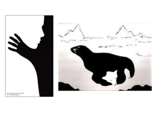 Perception and optical illusions