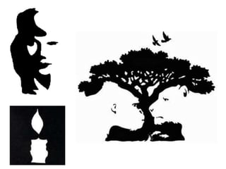 Perception and optical illusions