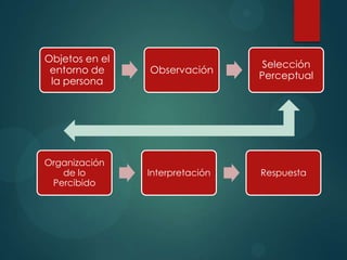 Objetos en el
entorno de
la persona
Observación
Selección
Perceptual
Organización
de lo
Percibido
Interpretación Respuesta
 