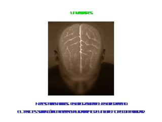L vra e
                     a e ds
                        d :




      N c it o a bs el o qie o el o e co
       e s a s mo: la izu r y la dr h
        e m           d     d    d e
E t c e sbr ó o oe o f idmne e n ao o o o f il a.
 lr o s ae cm mvr sl a etd u l a t cn a idd
   u :            n u            d   r     c
 