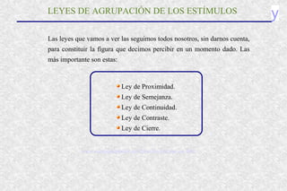 y
Las leyes que vamos a ver las seguimos todos nosotros, sin darnos cuenta,
para constituir la figura que decimos percibir en un momento dado. Las
más importante son estas:
Ley de Proximidad.
Ley de Semejanza.
Ley de Continuidad.
Ley de Contraste.
Ley de Cierre.
LEYES DE AGRUPACIÓN DE LOS ESTÍMULOS
www.santiagoapostol.net/filosofia/percepcion.htm
 