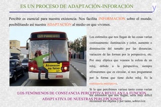yES UN PROCESO DE ADAPTACIÓN-INFORACIÓN
Percibir es esencial para nuestra existencia. Nos facilita INFORMACIÓN sobre el mundo,
posibilitando así nuestra ADAPTACIÓN al medio en que vivimos.
Los estímulos que nos llegan de las cosas varían
continuamente: iluminación y color, aumento o
disminución del tamaño por las distancias,
variación de las formas por la perspectiva, etc.
Por muy elíptica que veamos la esfera de un
reloj, debido a la perspectiva, siempre
afirmaremos que es circular, si nos preguntaran
por la forma que tiene dicho reloj. Es la
constancia perceptiva.
Si lo que percibimos variase tanto como varían
los estímulos que nos llegan, sería muy difícil
reconocer los objetos y por tanto, sobrevivir.
LOS FENÓMENOS DE CONSTANCIA PERCEPTIVA REVELAN LA FUNCIÓN
ADAPTATIVA DE NUESTRAS PERCEPCIONES
 