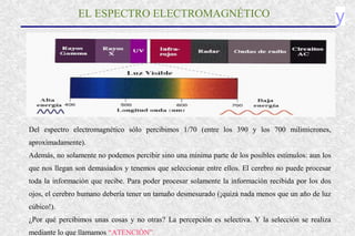 yEL ESPECTRO ELECTROMAGNÉTICO
Del espectro electromagnético sólo percibimos 1/70 (entre los 390 y los 700 milimicrones,
aproximadamente).
Además, no solamente no podemos percibir sino una mínima parte de los posibles estímulos: aun los
que nos llegan son demasiados y tenemos que seleccionar entre ellos. El cerebro no puede procesar
toda la información que recibe. Para poder procesar solamente la información recibida por los dos
ojos, el cerebro humano debería tener un tamaño desmesurado (¡quizá nada menos que un año de luz
cúbico!).
¿Por qué percibimos unas cosas y no otras? La percepción es selectiva. Y la selección se realiza
mediante lo que llamamos “ATENCIÓN”.
 