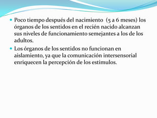  Poco tiempo después del nacimiento (5 a 6 meses) los
órganos de los sentidos en el recién nacido alcanzan
sus niveles de funcionamiento semejantes a los de los
adultos.
 Los órganos de los sentidos no funcionan en
aislamiento, ya que la comunicación intersensorial
enriquecen la percepción de los estimulos.
 