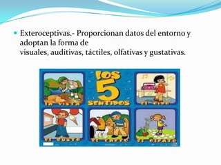  Exteroceptivas.- Proporcionan datos del entorno y
adoptan la forma de
visuales, auditivas, táctiles, olfativas y gustativas.
 