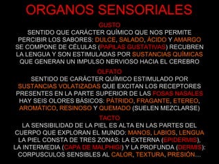ORGANOS SENSORIALES GUSTO SENTIDO QUE CARÁCTER QUÍMICO QUE NOS PERMITE PERCIBIR LOS SABORES:  DULCE ,  SALADO ,  ÁCIDO  Y  AMARGO SE COMPONE DE CÉLULAS ( PAPILAS GUSTATIVAS ) RECUBREN LA LENGUA Y SON ESTIMULADAS POR  SUSTANCIAS QUÍMICAS QUE GENERAN UN IMPULSO NERVIOSO HACIA EL CEREBRO OLFATO SENTIDO DE CARÁCTER QUÍMICO ESTIMULADO POR SUSTANCIAS VOLATIZADAS  QUE EXCITAN LOS RECEPTORES PRESENTES EN LA PARTE SUPERIOR DE LAS  FOSAS NASALES HAY SEIS OLORES BÁSICOS:  PÁTRIDO ,  FRAGANTE ,  ETEREO ,  AROMÁTICO ,  RESINOSO  Y  QUEMADO  (SUELEN MEZCLARSE) TACTO LA SENSIBILIDAD DE LA PIEL ES ALTA EN LAS PARTES DEL CUERPO QUE EXPLORAN EL MUNDO:  MANOS ,  LABIOS ,  LENGUA LA PIEL CONSTA DE TRES ZONAS: LA EXTERNA ( EPIDERMIS ), LA INTERMEDIA ( CAPA DE MALPHIGI ) Y LA PROFUNDA ( DERMIS ): CORPUSCULOS SENSIBLES AL  CALOR ,  TEXTURA ,  PRESIÓN … 