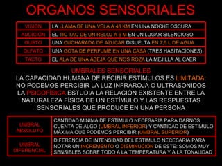 ORGANOS SENSORIALES UMBRALES SENSORIALES LA CAPACIDAD HUMANA DE RECIBIR ESTÍMULOS ES  LIMITADA : NO PODEMOS PERCIBIR LA LUZ INFRAROJA O ULTRASONIDOS LA  PSICOFÍSICA  ESTUDIA LA RELACIÓN EXISTENTE ENTRE LA NATURALEZA FÍSICA DE UN ESTÍMULO Y LAS RESPUESTAS SENSORIALES QUE PRODUCE EN UNA PERSONA UMBRAL ABSOLUTO CANTIDAD MÍNIMA DE ESTÍMULO NECESARIA PARA DARNOS CUENTA DE ALGO ( UMBRAL INFERIOR ) Y CANTIDAD DE ESTIMULO MÁXIMA QUE PODEMOS PERCIBIR ( UMBRAL SUPERIOR ) UMBRAL DIFERENCIAL DIFERENCIA DE INTENSIDAD DEL ESTÍMULO NECESARIA PARA NOTAR UN  INCREMENTO  O  DISMINUCIÓN  DE ESTE: SOMOS MUY SENSIBLES SOBRE TODO A LA TEMPERATURA Y A LA TONALIDAD VISIÓN LA  LLAMA DE UNA VELA A 48 KM  EN UNA NOCHE OSCURA AUDICIÓN EL  TIC TAC DE UN RELOJ A 6 M  EN UN LUGAR SILENCIOSO GUSTO UNA  CUCHARADA DE AZUCAR  DISUELTA  EN 7,5 L DE AGUA OLFATO UNA  GOTA DE PERFUME EN UNA CASA  (TRES HABITACIONES) TACTO EL  ALA DE UNA ABEJA QUE NOS ROZA  LA MEJILLA AL CAER 