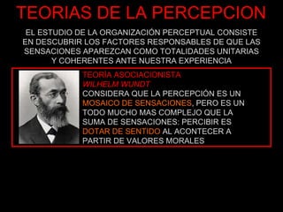 TEORIAS DE LA PERCEPCION EL ESTUDIO DE LA ORGANIZACIÓN PERCEPTUAL CONSISTE EN DESCUBRIR LOS FACTORES RESPONSABLES DE QUE LAS SENSACIONES APAREZCAN COMO TOTALIDADES UNITARIAS Y COHERENTES ANTE NUESTRA EXPERIENCIA   TEORÍA ASOCIACIONISTA   WILHELM WUNDT   CONSIDERA QUE LA PERCEPCIÓN ES UN    MOSAICO DE SENSACIONES , PERO ES UN    TODO MUCHO MAS COMPLEJO QUE LA      SUMA DE SENSACIONES: PERCIBIR ES      DOTAR DE SENTIDO  AL ACONTECER A      PARTIR DE VALORES MORALES 