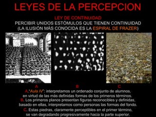 LEYES DE LA PERCEPCION A  B  C A .“ Aula IV ”: interpretamos un ordenado conjunto de alumnos, en virtud de las más definidas formas de los primeros términos.  B . Los primeros planos presentan figuras reconocibles y definidas, basado en ellas, interpretamos como personas las formas del fondo. C . Estas piedras, claramente perceptibles en el primer término, se van degradando progresivamente hacia la parte superior. LEY DE CONTINUIDAD PERCIBIR UNIDOS ESTÓMULOS QUE TIENEN CONTINUIDAD (LA ILUSIÓN MÁS CONOCIDA ES LA  ESPIRAL DE FRAZER ) 