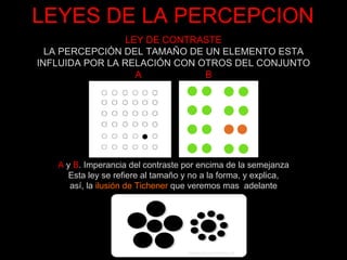 LEYES DE LA PERCEPCION LEY DE CONTRASTE LA PERCEPCIÓN DEL TAMAÑO DE UN ELEMENTO ESTA INFLUIDA POR LA RELACIÓN CON OTROS DEL CONJUNTO A  B A  y  B . Imperancia del contraste por encima de la semejanza Esta ley se refiere al tamaño y no a la forma, y explica, así, la  ilusión de Tichener  que veremos mas  adelante 