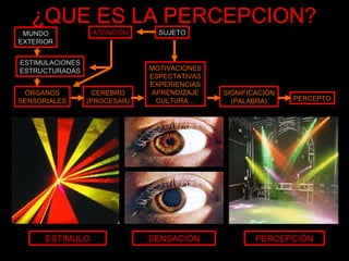 ¿QUE ES LA PERCEPCION? MUNDO EXTERIOR ESTIMULACIONES ESTRUCTURADAS ÓRGANOS SENSORIALES CEREBRO (PROCESAR) MOTIVACIONES ESPECTATIVAS EXPERIENCIAS APRENDIZAJE CULTURA… SIGNIFICACIÓN (PALABRA) PERCEPTO ATENCIÓN SUJETO ESTÍMULO SENSACIÓN PERCEPCIÓN 