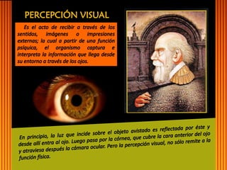 PERCEPCIÓN VISUAL  