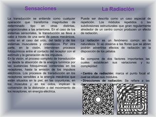 Sensaciones                                              La Radiación
La transducción se entiende como cualquier             Puede ser descrita como un caso especial de
operación que transforma magnitudes de                 repetición. Los módulos repetidos o las
determinado       tipo    en     otras    distintas,   subdivisiones estructurales que giran regularmente
proporcionales a las anteriores. En el caso de los     alrededor de un centro común producen un efecto
sistemas sensoriales, la transducción se lleva a       de radiación.
cabo a través de una serie de pasos mecánicos,
como en el caso del oído, del tacto y de los           La radiación es un fenómeno común en la
sistemas musculares y cinestésicos. Por otra           naturaleza. Si se observa a las flores que se abren
parte, en la visión, intervienen procesos              podrán advertirse efectos de radiación en la
fotoquímicos entre el contacto del receptor con el     disposición de los pétalos
estímulo y la generación de los impulsos.
En la visión, el proceso completo de transducción      Se compone de dos factores importantes las
va desde la absorción de la energía lumínica por       cuales establecen sus variaciones y su
las sustancias fotoquímicas contenidas en los          complejidad:
receptores, hasta la emisión de los impulsos
eléctricos. Los procesos de transducción en los        • Centro de radiación: marca el punto focal el
receptores sensibles a la energía mecánica que         cual se sitúan sus módulos.
están situados en la piel, en las coyunturas, en       • Direcciones de radiación: Se refiere a las
los músculos y en los oídos, implican la               direcciones delas líneas estructurales.
conversión de la distorsión o del movimiento de
los receptores, en energía eléctrica.
 
