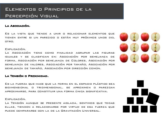 Percepcion visual