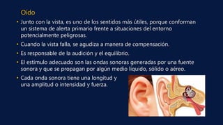 Oído
• Junto con la vista, es uno de los sentidos más útiles, porque conforman
un sistema de alerta primario frente a situaciones del entorno
potencialmente peligrosas.
• Cuando la vista falla, se agudiza a manera de compensación.
• Es responsable de la audición y el equilibrio.
• El estímulo adecuado son las ondas sonoras generadas por una fuente
sonora y que se propagan por algún medio líquido, sólido o aéreo.
• Cada onda sonora tiene una longitud y
una amplitud o intensidad y fuerza.
 