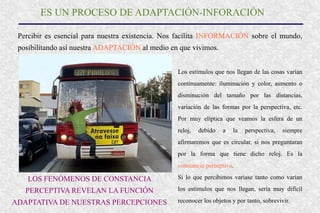 ES UN PROCESO DE ADAPTACIÓN-INFORACIÓN
Percibir es esencial para nuestra existencia. Nos facilita INFORMACIÓN sobre el mundo,
posibilitando así nuestra ADAPTACIÓN al medio en que vivimos.
Los estímulos que nos llegan de las cosas varían
continuamente: iluminación y color, aumento o
disminución del tamaño por las distancias,
variación de las formas por la perspectiva, etc.
Por muy elíptica que veamos la esfera de un
reloj, debido a la perspectiva, siempre
afirmaremos que es circular, si nos preguntaran
por la forma que tiene dicho reloj. Es la
constancia perceptiva.
Si lo que percibimos variase tanto como varían
los estímulos que nos llegan, sería muy difícil
reconocer los objetos y por tanto, sobrevivir.
LOS FENÓMENOS DE CONSTANCIA
PERCEPTIVA REVELAN LA FUNCIÓN
ADAPTATIVA DE NUESTRAS PERCEPCIONES
 