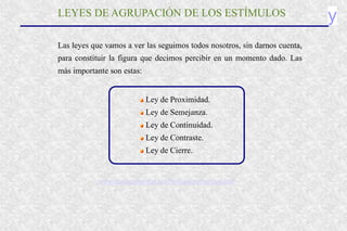 y
Las leyes que vamos a ver las seguimos todos nosotros, sin darnos cuenta,
para constituir la figura que decimos percibir en un momento dado. Las
más importante son estas:
Ley de Proximidad.
Ley de Semejanza.
Ley de Continuidad.
Ley de Contraste.
Ley de Cierre.
LEYES DE AGRUPACIÓN DE LOS ESTÍMULOS
www.santiagoapostol.net/filosofia/percepcion.htm
 