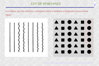 y
LEY DE SEMEJANZA
Los objetos que son similares o semejantes entre sí tendemos a integrarlos en una misma
figura.
http://www.santiagoapostol.net/filosofia/images/semejanza.gif
 