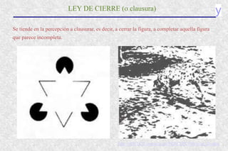 y
LEY DE CIERRE (o clausura)
Se tiende en la percepción a clausurar, es decir, a cerrar la figura, a completar aquella figura
que parece incompleta.
http://rt001473.eresmas.net/PERCEPCION/cont_ilu.htm
 
