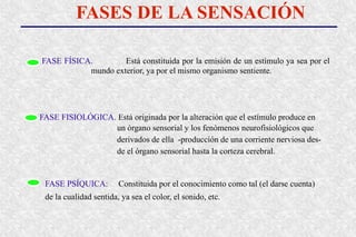 FASES DE LA SENSACIÓN
FASE FÍSICA. Está constituida por la emisión de un estímulo ya sea por el
mundo exterior, ya por el mismo organismo sentiente.
FASE FISIOLÓGICA. Está originada por la alteración que el estímulo produce en
un órgano sensorial y los fenómenos neurofisiológicos que
derivados de ella -producción de una corriente nerviosa des-
de el órgano sensorial hasta la corteza cerebral.
FASE PSÍQUICA: Constituida por el conocimiento como tal (el darse cuenta)
de la cualidad sentida, ya sea el color, el sonido, etc.
 