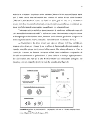 26
ao invés de alongadas e irregulares, seriam melhores, já que sofreriam menos efeitos de borda,
pois o centro dessas áreas encontra-se mais distante das bordas do que outros formatos.
(PRIMACK; RODRIGUES, 2001). Os efeitos de borda, por sua vez, são o resultado do
contato entre área interna (habitat natural) com a externa (paisagem alterada circundante), que
causa interferência nas áreas protegidas, especialmente por ações antrópicas.
Tanto os corredores ecológicos quanto as pontes de movimento também são essenciais
para o manejo e conexão entre as UCs. Ambos funcionam como faixas de terra para conectar
as áreas protegidas em diferentes locais, formando assim uma rede, permitindo a dispersão de
animais e plantas de uma reserva para outra e impedindo assim o isolamento das UCs.
As fragmentações das áreas conservadas seja por estradas, rodovias, hidrelétricas,
cercas e outras devem ser evitadas, já que os efeitos da fragmentação são muito negativos às
espécies protegidas, porque interferem no habitat natural. Mas a integração entre as UCs e as
populações existentes nas áreas do entorno da unidade, deve estabelecer o compromisso de
envolver as comunidades na gestão das UCs, como forma de se alcançar a proteção efetiva
dos ecossistemas, uma vez que a falta de envolvimento das comunidades começou a ser
percebida como um empecilho à sobrevivência das unidades. (Ver figura 1)
Figura 01 - Princípios de planejamento de UCs propostos com base na Teoria de Biogeografia de
Ilhas.
Fonte: Adaptado de Primack; Rodrigues, 2001.
 