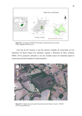 38
Figura 02 Localização da FLONA de Silvânia no mapa de Goiás sem escalas.
Fonte: adaptado de Pereira, 2011.
Com área de 467 hectares, é uma das menores Unidades de Conservação de Uso
Sustentável do Brasil (Figura 03), entretanto, segundo o Ministério do Meio Ambiente
(MMA, 2011a), pesquisas realizadas in situ tem revelado exercer um importante papel na
conservação da biodiversidade do Cerrado brasileiro.
Figura 03 - Unidade de Conservação Floresta Nacional de Silvânia. Escala 1: 100 000.
Fonte: Google Maps 2011.
 