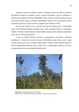 40
Segundo os preceitos ecológicos, dentre os principais fatores que afetam a dinâmica
dos habitats encontra-se o tamanho, a forma, o grau de isolamento, o tipo de vizinhança e o
histórico de perturbações (VIANA; PINHEIRO, 1998). Embora a FLONA Silvânia seja uma
das menores do paí , tende a
estar menos sujeita
Ela não está isolada, já que a Floresta Nacional faz fronteira com 11 propriedades
rurais, cujos habitantes praticam atividades rurais, como a pecuária leiteira e a agricultura.
Quanto ao histórico de perturbações, foram relatadas algumas ações antrópicas prejudiciais,
como caça e extrativismo predatório.
A área da FLONA Silvânia encontra-se aparentemente conservada e representa
amplamente o Cerrado, por possuir diversas fitofisionomias desse bioma, como campo
cerrado, cerrado sensu strictu, cerradão, campo rupestre, veredas e matas de galeria (figura 4).
Essa heterogeneidade ambiental possui relação com a complexidade ambiental do local e
conseqüentemente de maior qualidade ambiental desta.
Figura 04 - Campo cerrado na FLONA Silvânia.
Fonte: IPAAC - Instituto de Pesquisas Ambientais e Ações Conservacionistas.
 