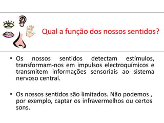 Qual a função dos nossos sentidos?
• Os nossos sentidos detectam estímulos,
transformam-nos em impulsos electroquímicos e
transmitem informações sensoriais ao sistema
nervoso central.
• Os nossos sentidos são limitados. Não podemos ,
por exemplo, captar os infravermelhos ou certos
sons.
 