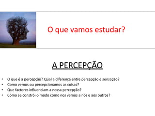 O que vamos estudar?
A PERCEPÇÃO
• O que é a percepção? Qual a diferença entre percepção e sensação?
• Como vemos ou percepcionamos as coisas?
• Que factores influenciam a nossa percepção?
• Como se constrói o modo como nos vemos a nós e aos outros?
 