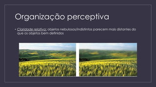 PERCEPÇÃO. Processos Psicológicos Básicos Thaís Vectore Pavanin.pdf