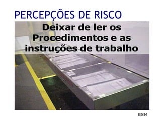 PERCEPÇÕES DE RISCO
BSM
 
