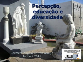 Percepção,
             educação e
             diversidade




Carmem Angela Corrêa Araujo
      Junho / 2011
 