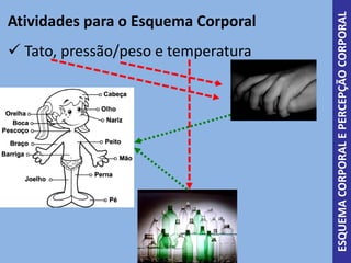 Atividades para o Esquema Corporal
ESQUEMACORPORALEPERCEPÇÃOCORPORAL
Tato, pressão/peso e temperatura