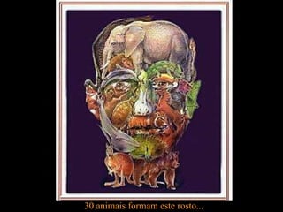 30 animais formam este rosto... 