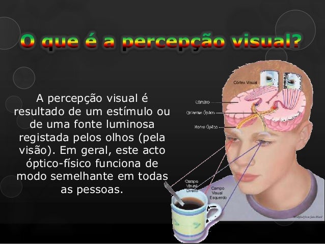 Percepção visual