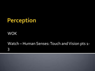 Perception WOK Watch – Human Senses: Touch and Vision pts 1-3 