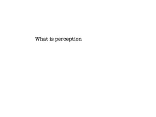 What is perception 