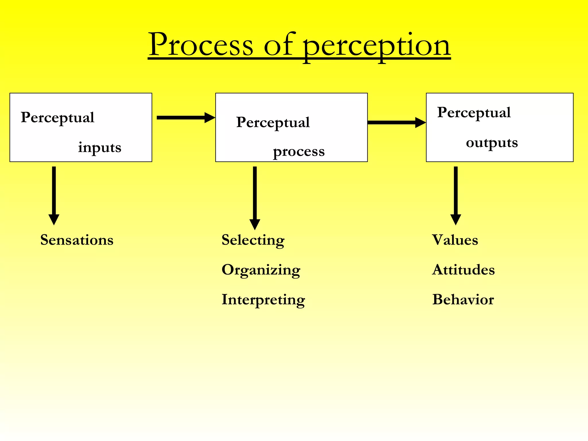 Process of perception Perceptual inputs Perceptual process Perceptual outputs Sensations Selecting Organizing Interpreting Values Attitudes Behavior
