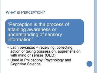 What is Perception?<br />