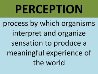PERCEPTION process by which organisms interpret and organize sensation to produce a meaningful experience of the world 
